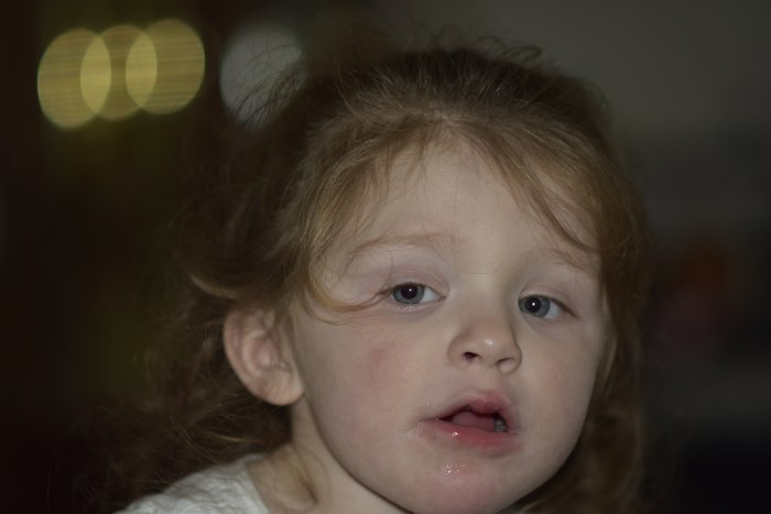 _DSC0108