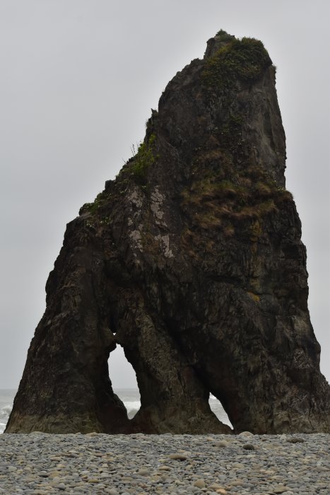 DSC_0238