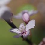 _DSC0090