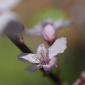 _DSC0090